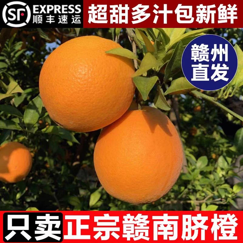 江西赣南的脐橙10斤橙子当季水果新鲜正宗赣州果冻橙