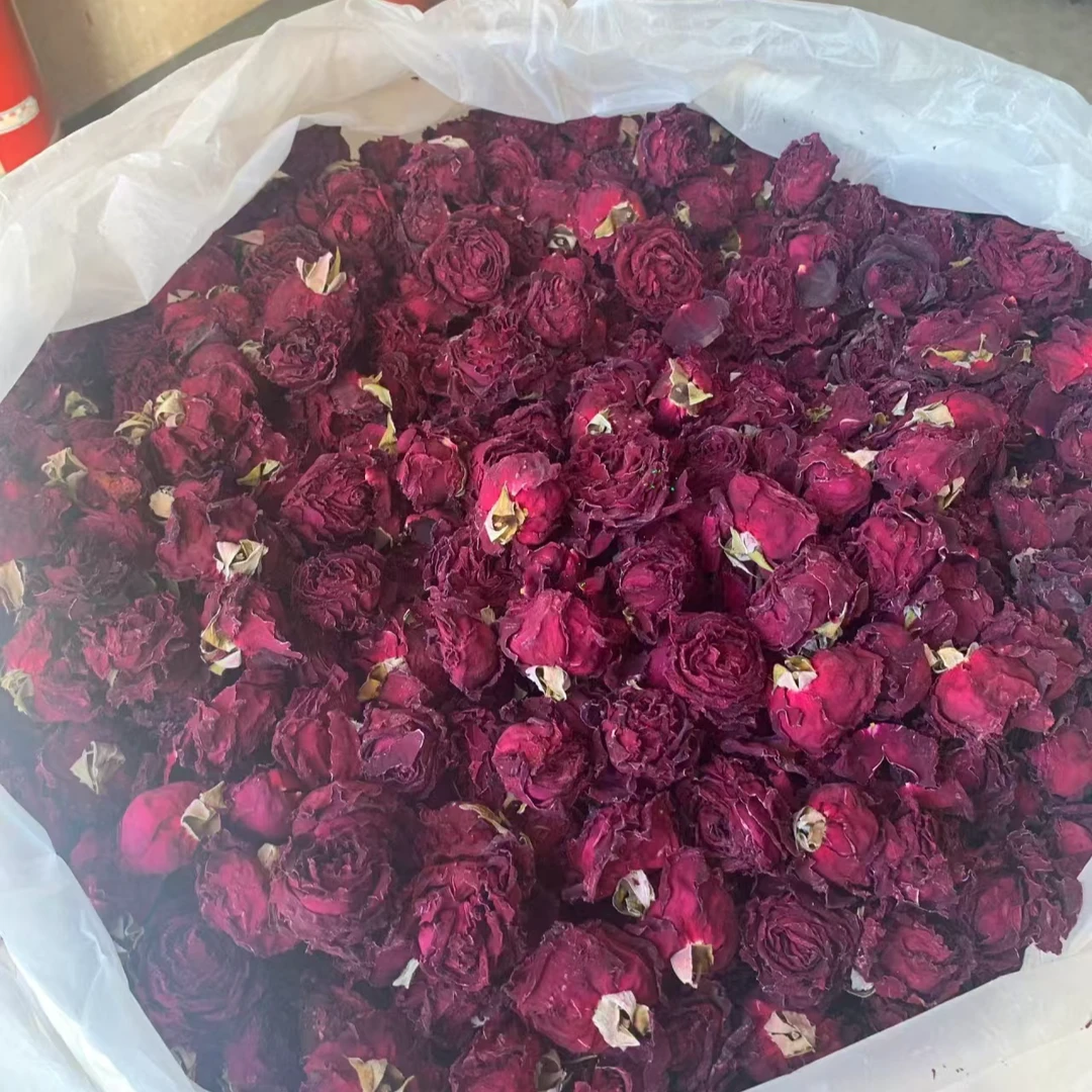 （墨~红~玫瑰）阿飞现收山货
