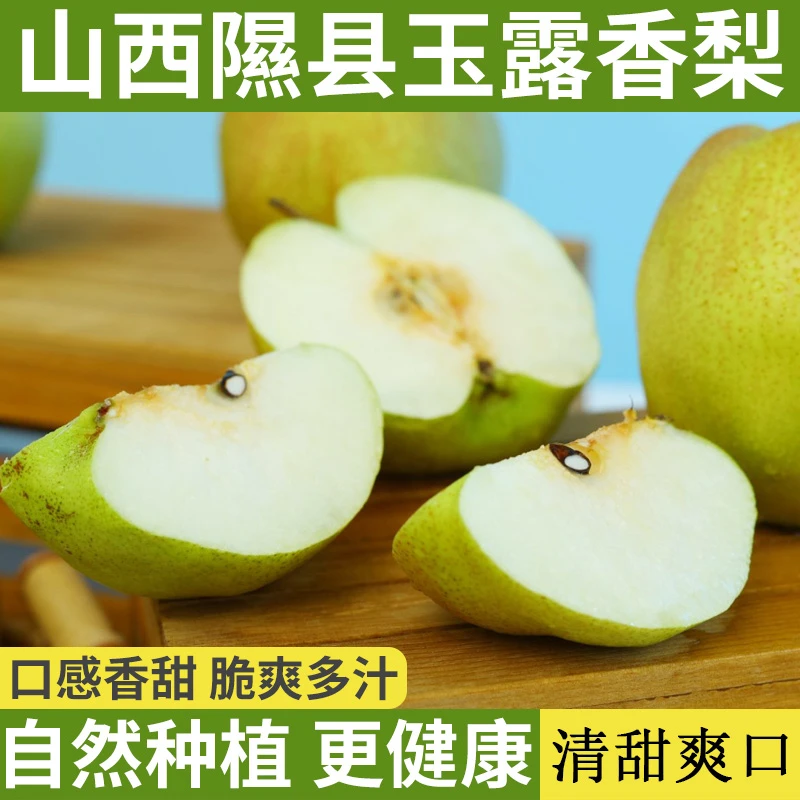 隰县玉露香梨尝鲜装正宗小西天绿香缘8斤12颗大面积果锈家庭款