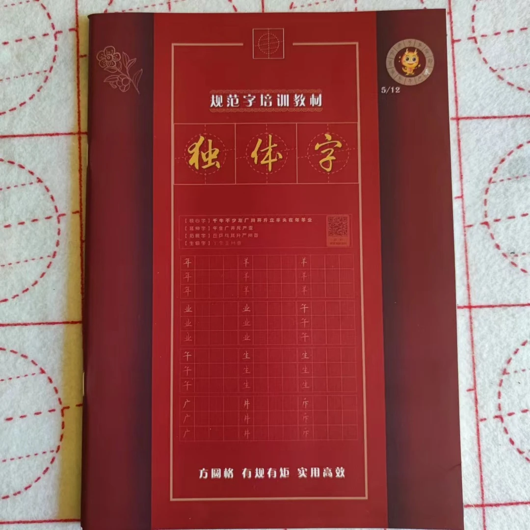 独体字硬笔速成字帖方圆格练儿童小学生语文写字纠正书法培训批发