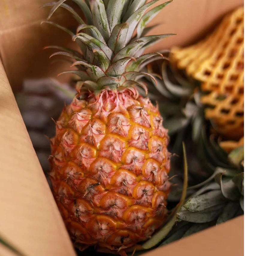 海南金钻凤梨5-8斤