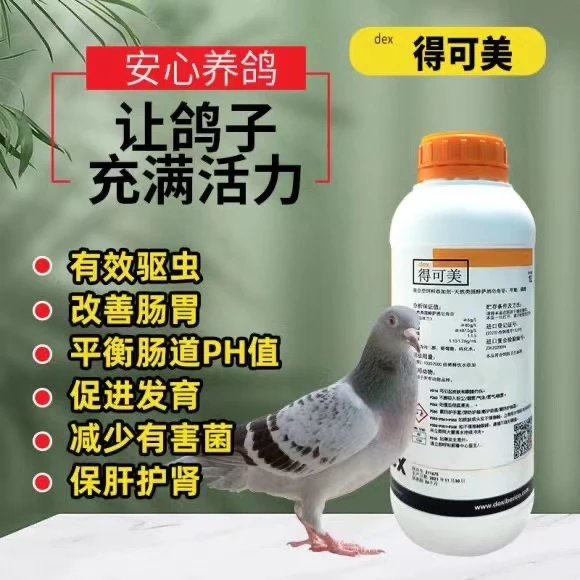 得可美西班牙进口鸽子专用