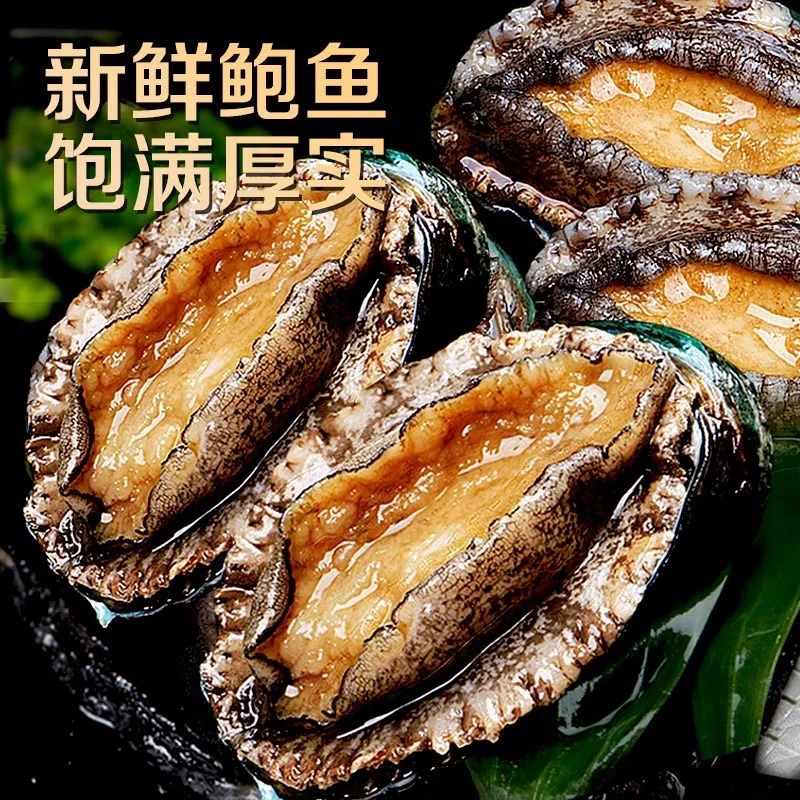 连云港冷冻鲜鲍鱼发货26只(10头-12头)