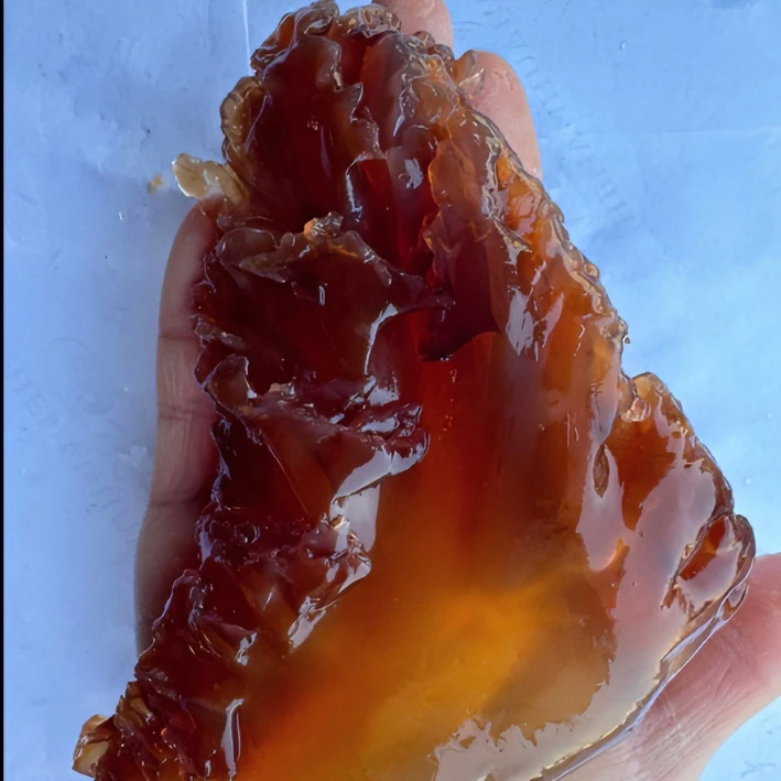 辽宁营口渤海湾、海蜇头、特大角（三个左右一斤）净重3斤/5斤发货