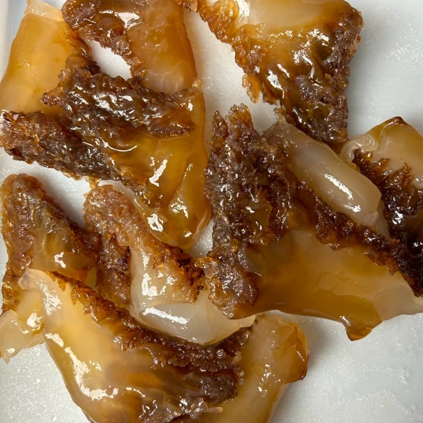 辽宁营口直发渤海湾海蜇头混角(硬脆口感)净重发货