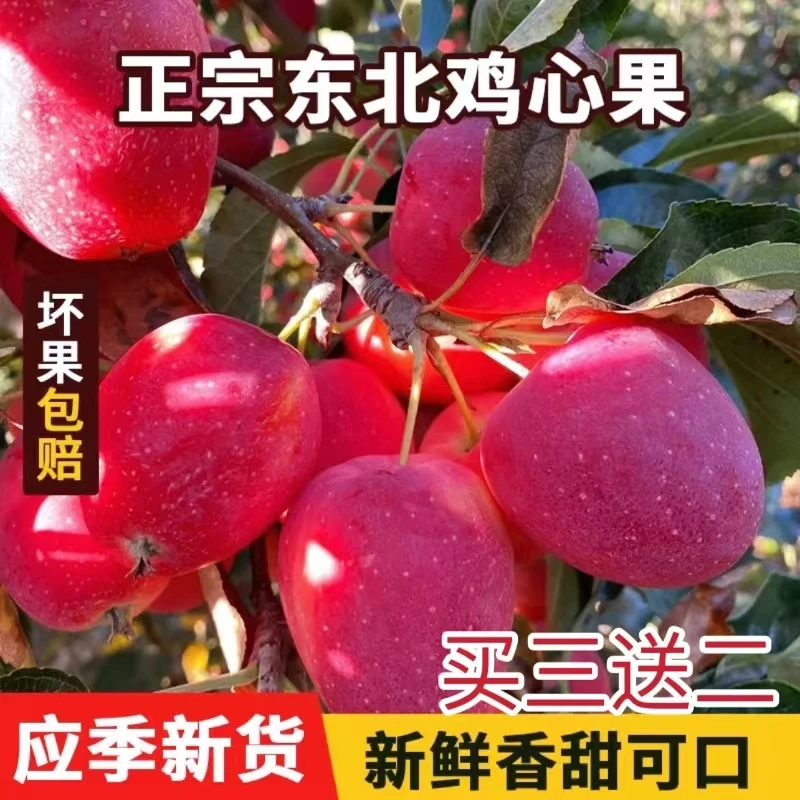【酸甜一口香】东北小鸡心果小新鲜海棠果酸甜脆啊糖季水果孕妇水果