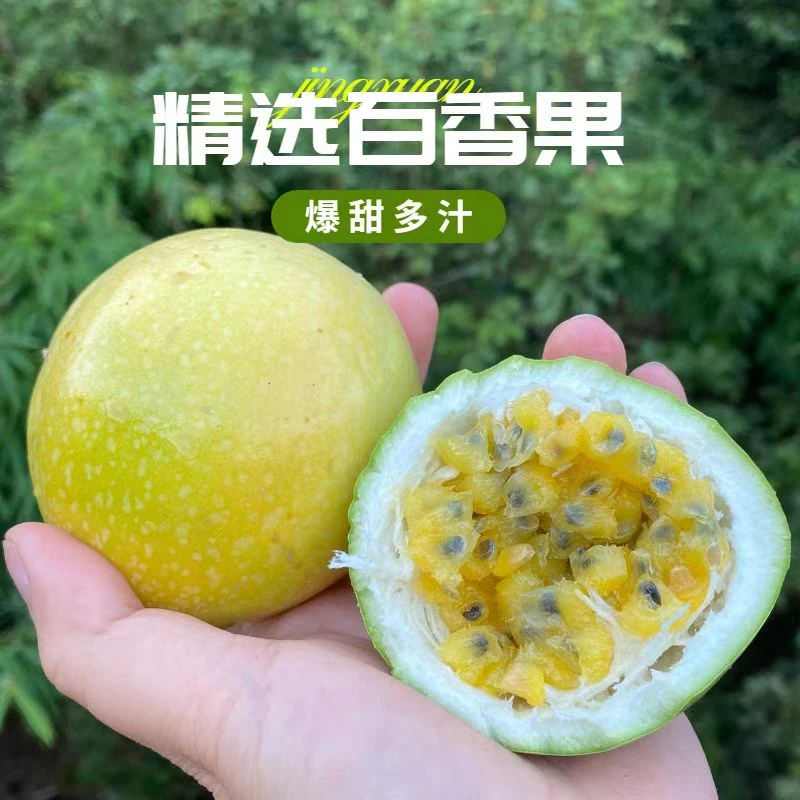 正宗桂林秦姐高山黄金百香果新鲜现摘亲蜜99号纯甜当季孕妇水果