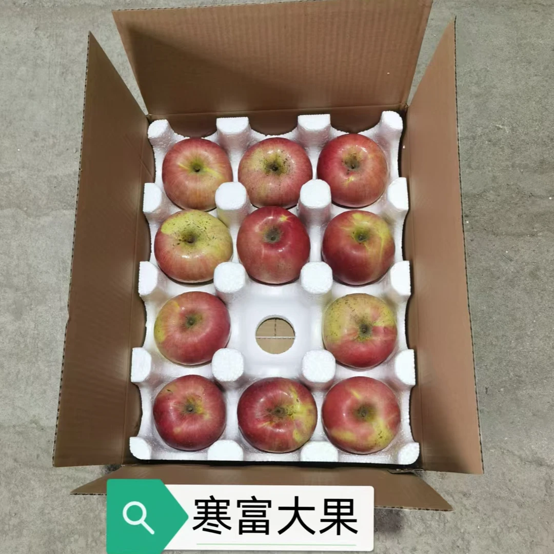 寒富士不套袋苹果口感酸甜个别表皮有水裂纹树膜属正常