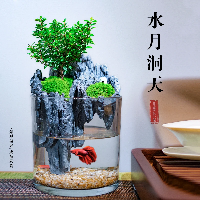 水月洞天新款创意桌面绿植苔藓微景观缸客厅小型水陆缸生态瓶摆件