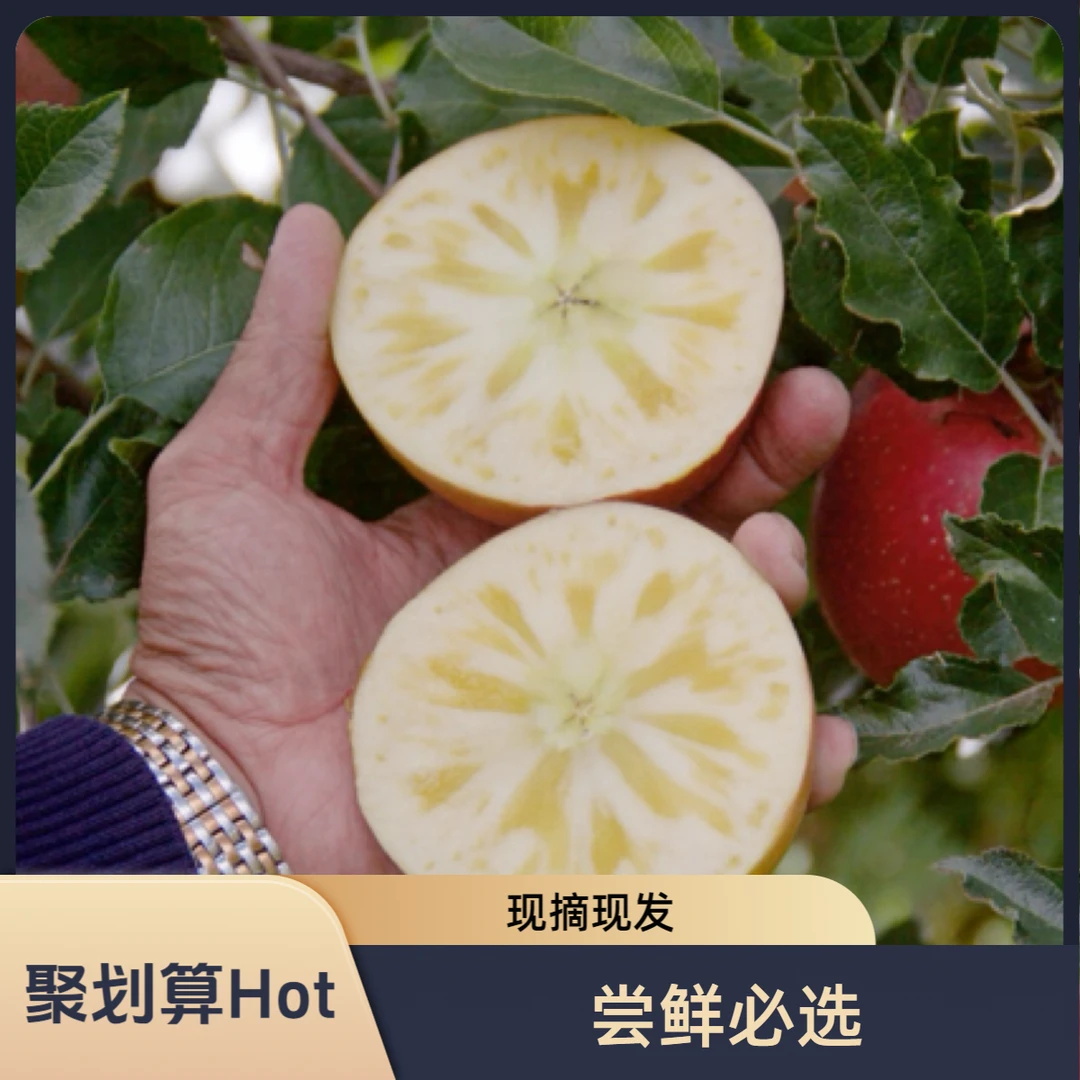 盐源丑苹果新鲜多汁种植果园现摘现发