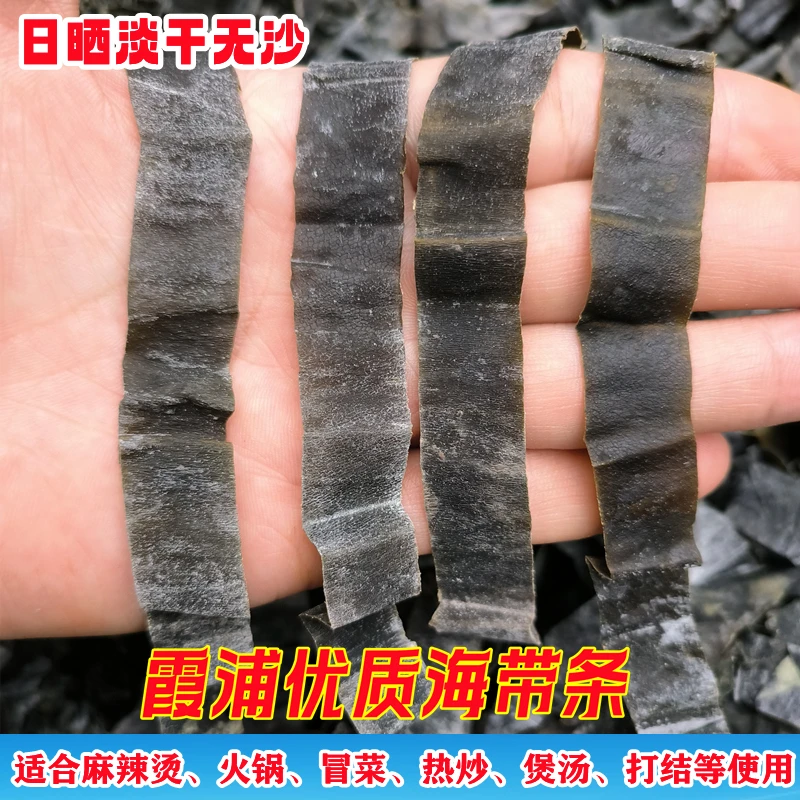 干海带条霞浦日晒优质无沙海带取中间段横切麻辣烫火锅煲汤打结