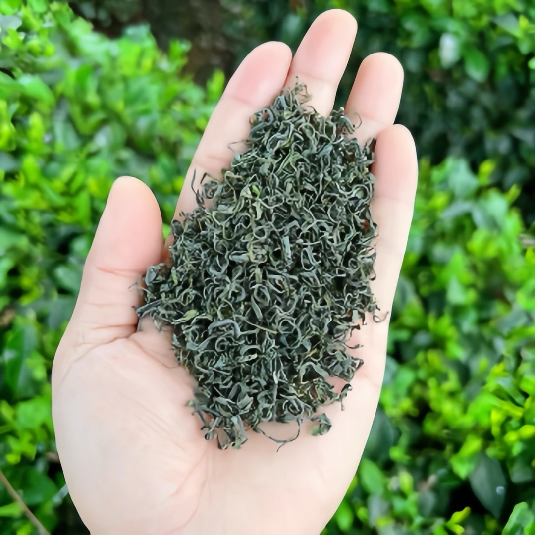 云雾绿茶 2025年新豆香春茶 松阳绿茶 天然品质龙井崂山大姨甄选
