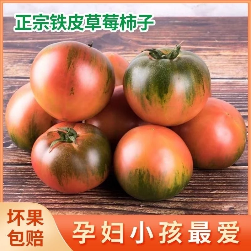 农村自家种植新鲜铁柿子酸甜可口现摘现发好吃美味