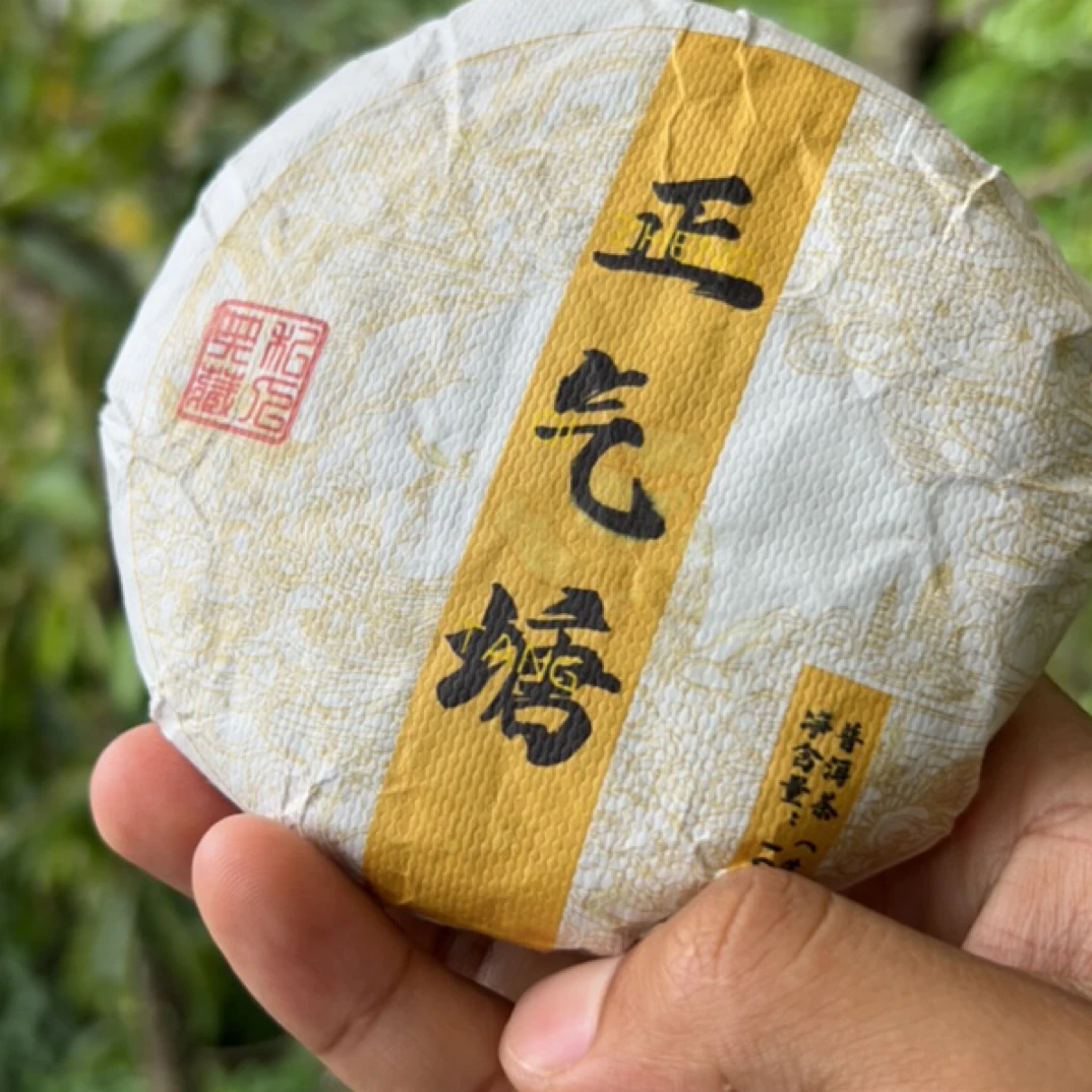 2023正气塘300古树秋茶 普洱茶生茶100克支持试喝三泡