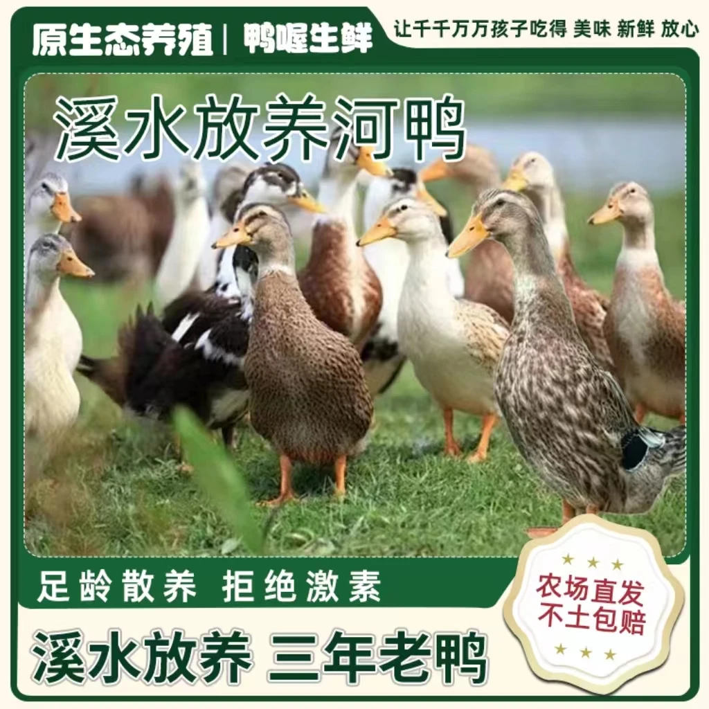 鸭喔【土鸭】2只装 皖南正宗 本土散养 老鸭子 现杀现卖