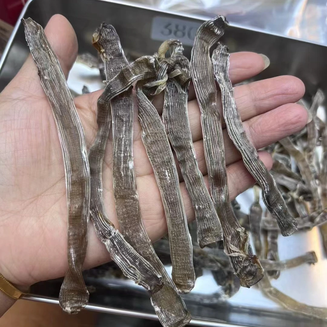 本港沙虫干 深海黑沙虫