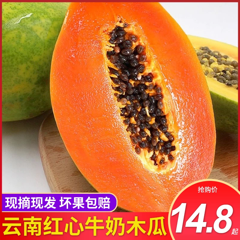 云南西双版纳红心牛奶木瓜软糯香甜水果特产老树冰糖心青木瓜批发