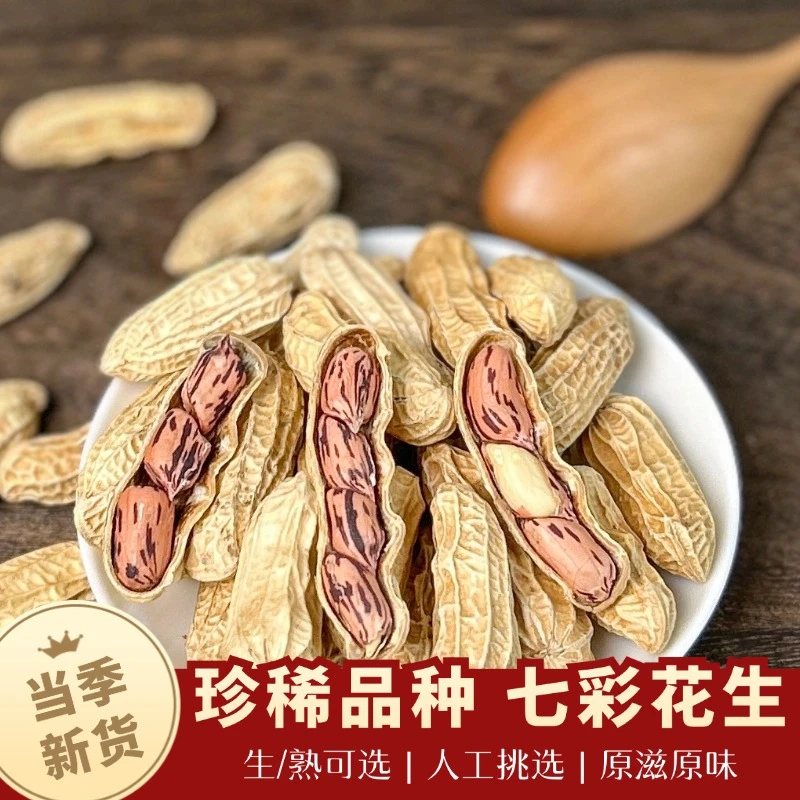 【年货优选】云南高原野地七彩花生 当季带壳酒鬼花生非转基因