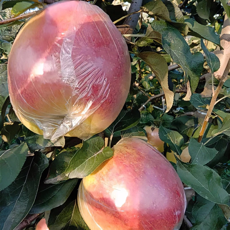 -5℃以上拍【新店福利】苹果冰糖心丑快递多汁脆甜2斤8斤运城苹果