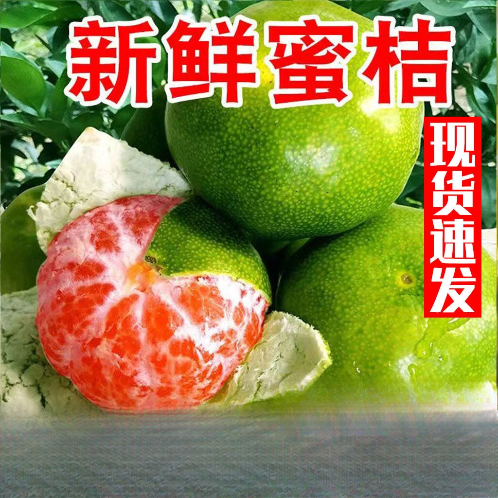 【超低价】正宗云南蜜橘新鲜橘子超甜无籽蜜桔青皮1/3/5/9斤包邮