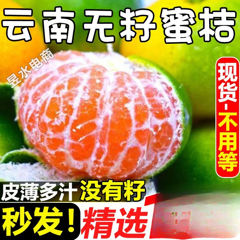 【超低价】云南无籽蜜桔薄皮新鲜现摘青皮橘子蜜橘1/3/5/9斤包邮
