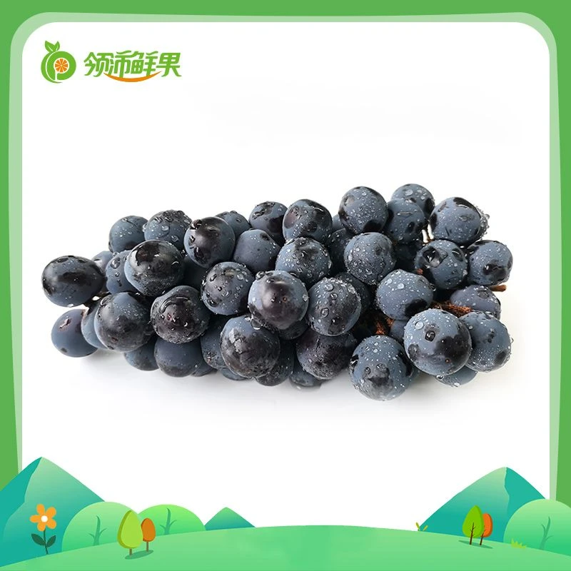 甜酸爆汁 兰莓葡萄约480~500g/盒