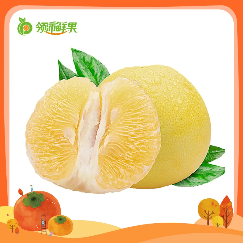 活动特惠 爆汁的葡萄柚柚4个起约4~4.2斤/份