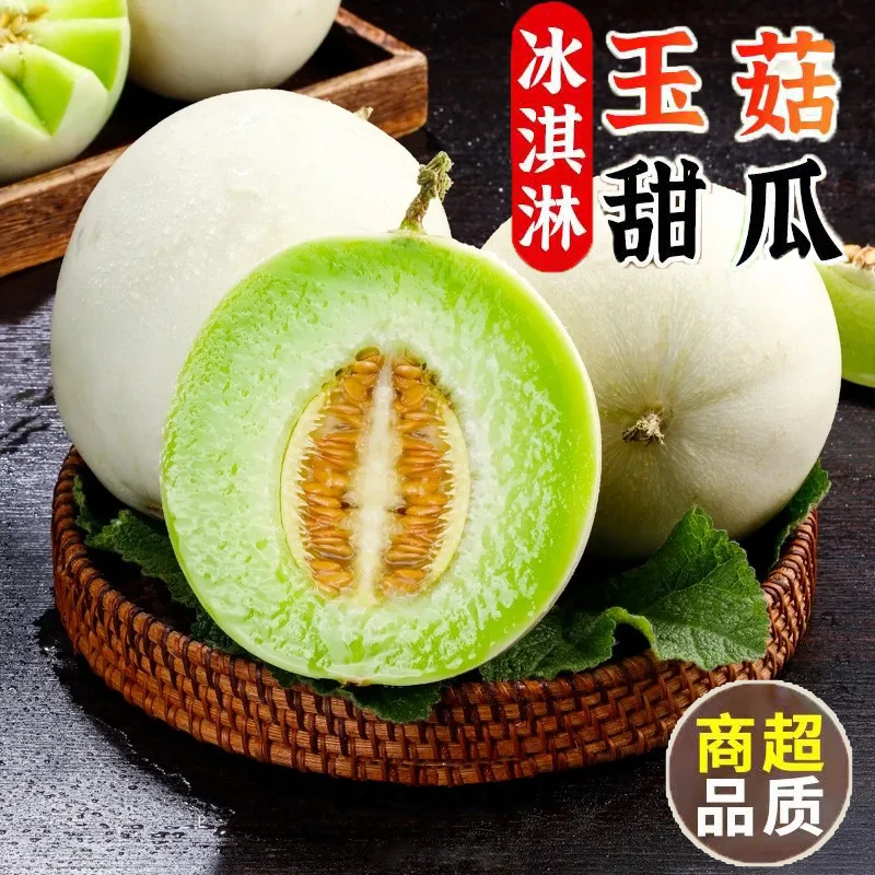 玉菇自然网红瓜新鲜水果直播卖货当季整箱新鲜应季农产品3斤装好9