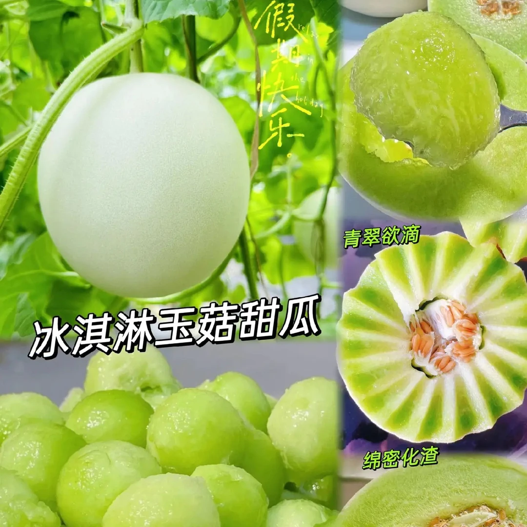 冰清玉菇哈密瓜。绿瓤，软肉。主打新鲜，主打品质。