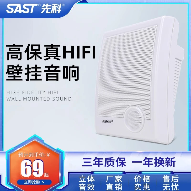 先科A2壁挂音箱教师校园公共广播背景音乐音箱喇叭室内超市挂墙式