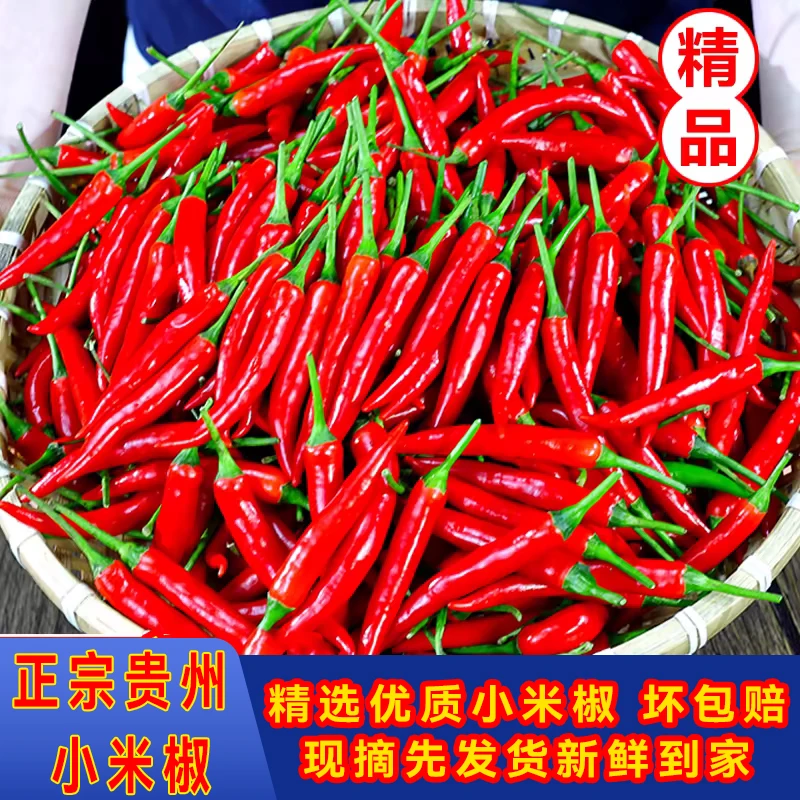 新鲜小米椒朝天椒现摘特辣小米椒农家自种红辣椒蔬菜泡椒特辣鲜椒