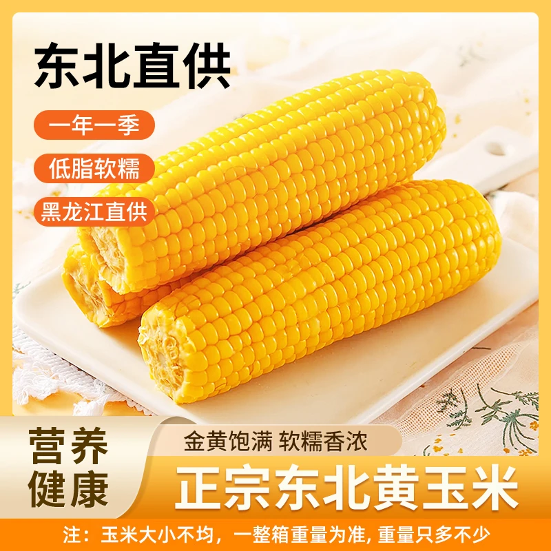 [试吃两棒]东北头茬黑龙黄糯玉米单棒240g-260g整箱到手12支6斤