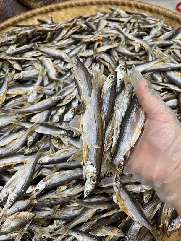江西鄱阳田畈街小餐条净含量500克