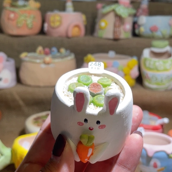 大舅手工盆248…..