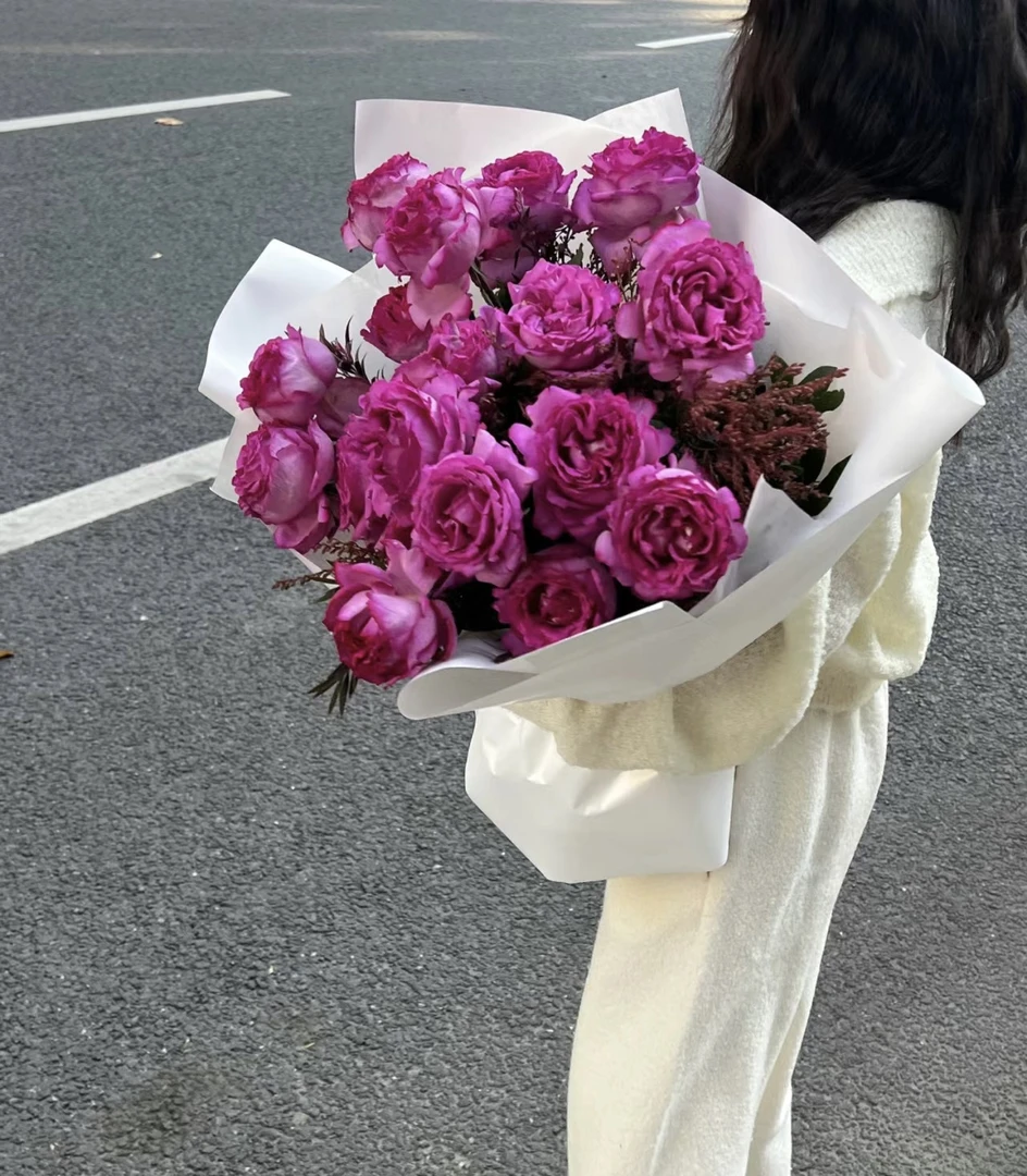 【山野间】伊芙伯爵 单头玫瑰 大花