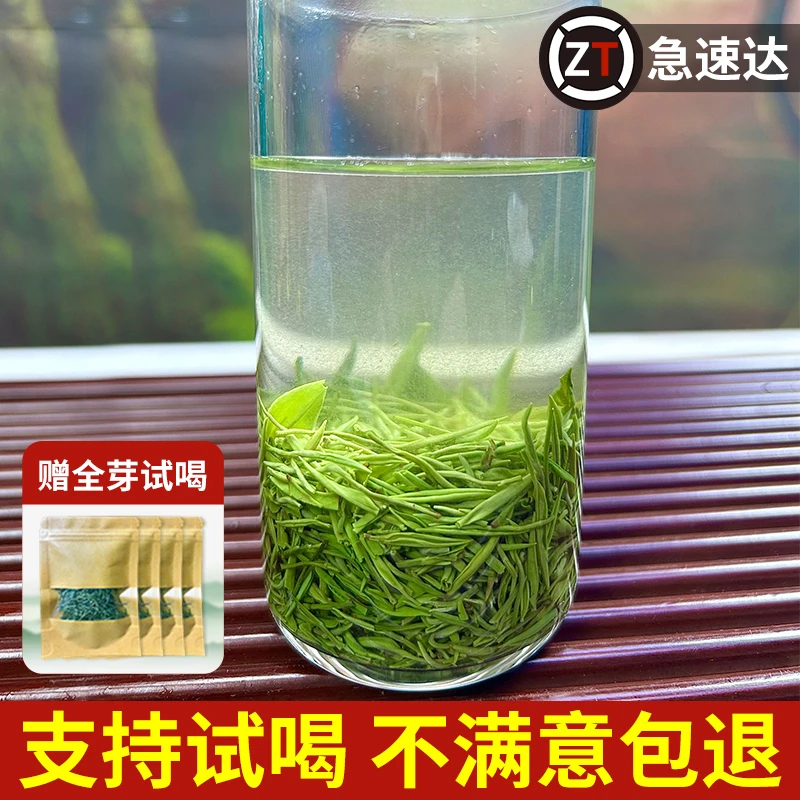信尖2025新茶信阳明前正宗毛尖茶手工绿茶明前高山嫩芽兰花香茶叶