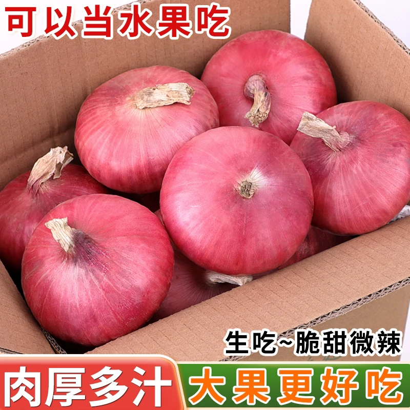 生吃脆甜扁平水果洋葱3斤5斤新鲜紫皮圆葱头肉厚坏果包赔批发蔬菜
