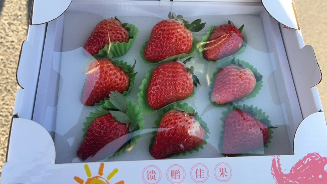 丹东九九草莓一盒9颗    特大果  净重6两  2盒装
