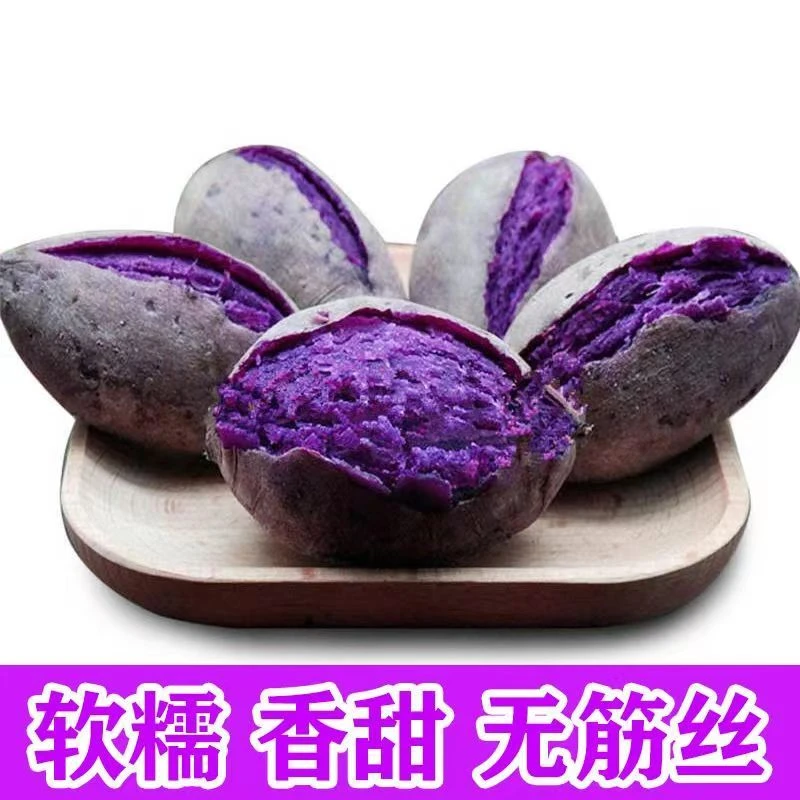 【软糯香甜】沙地种植新鲜紫薯蜜薯红薯地瓜美味原产地发货肉质饱满