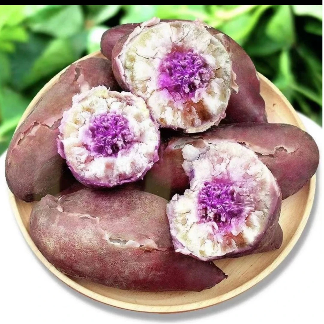 广西红薯冰淇淋新鲜采摘食用皮薄肉质健康种植入口香甜直供优质