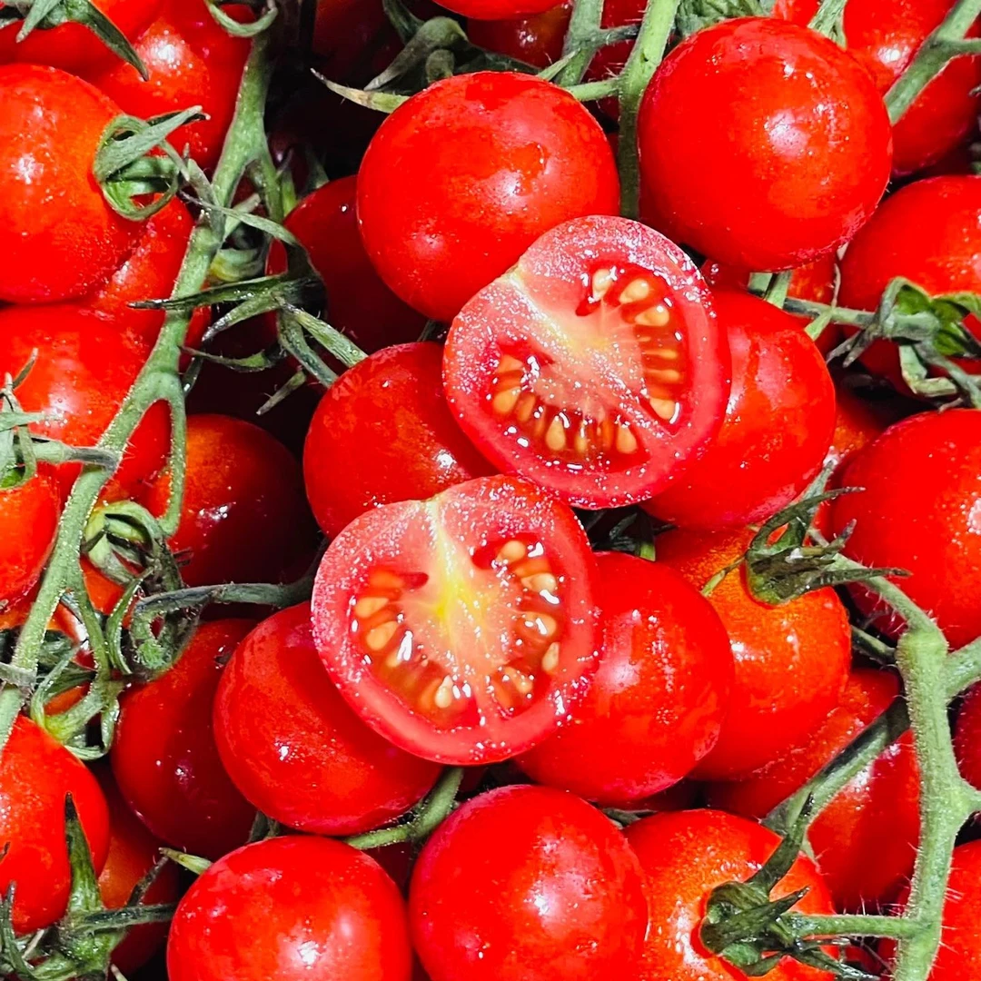 【红果地甄选】串收小番茄~2斤