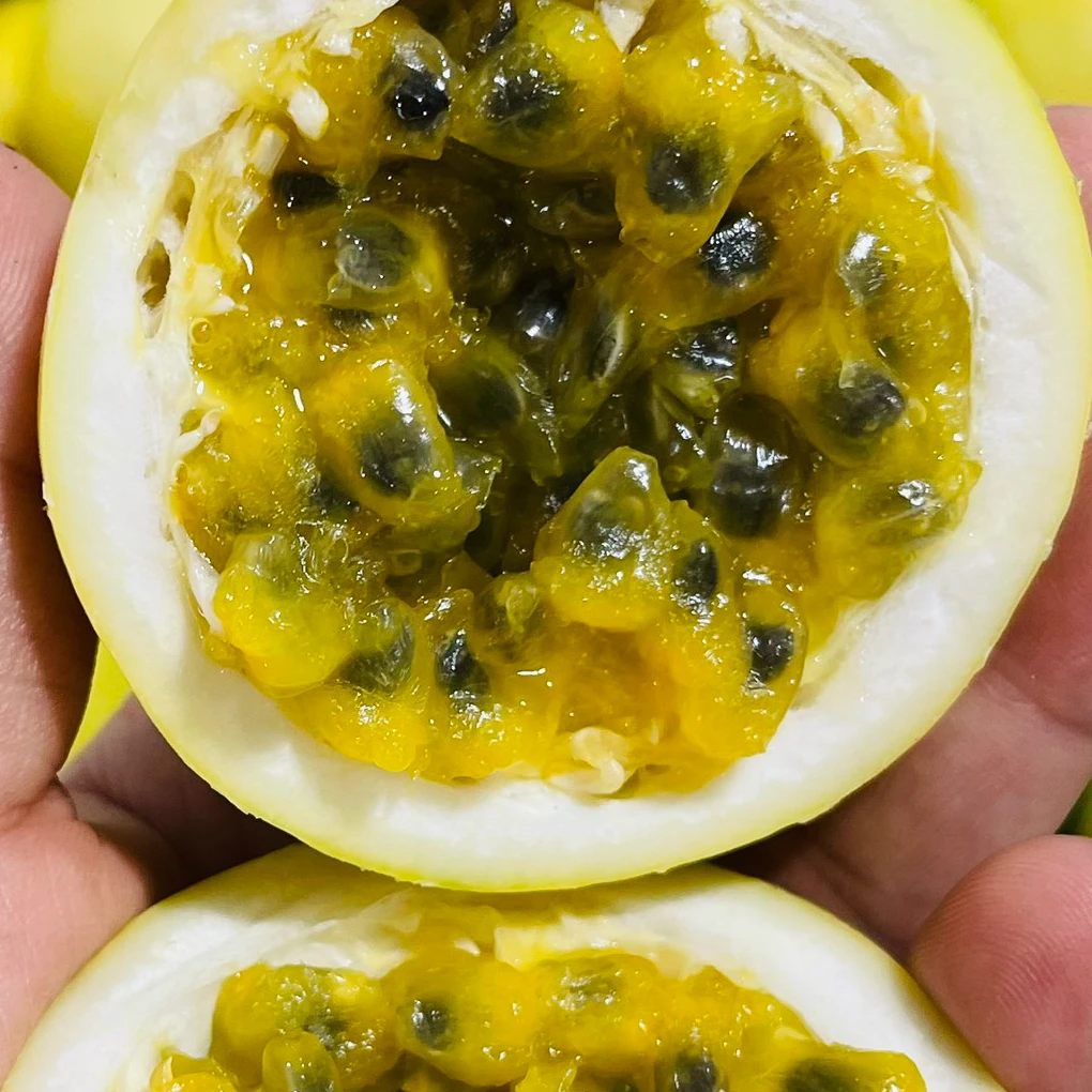 【红果地甄选】麻脸黄百香果~净果1斤家庭装