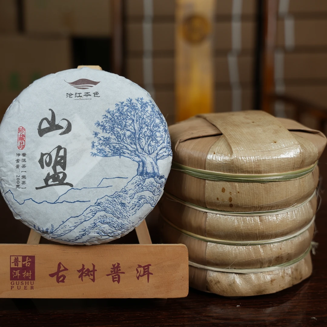 沧江本色山盟古树生茶老茶饼