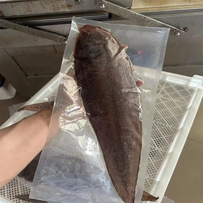 广东阳江2-3条龙利鱼新鲜冷冻舌头鱼深海踏板鱼海鲜宝宝辅食称重