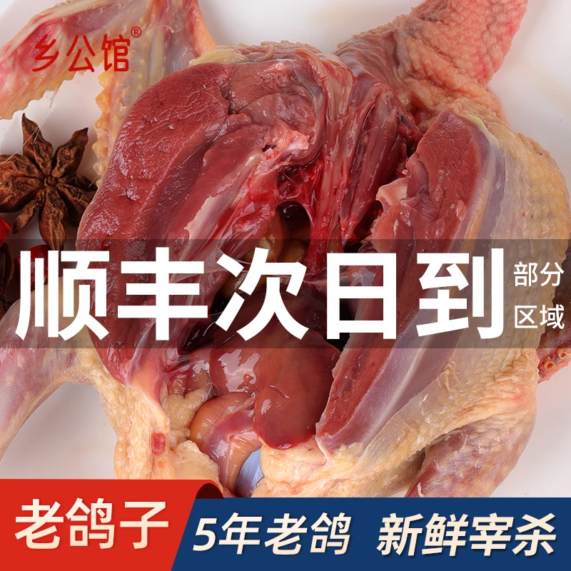 乡公馆鸽子肉新鲜宰杀5年老鸽子营养炖汤土鸽子农家散养生鲜鸽肉
