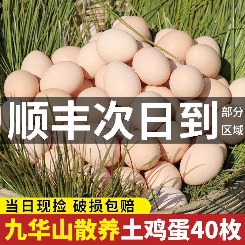 九华山土鸡蛋新鲜好吃正宗农家散养虫草鸡蛋整箱批发笨柴鸡蛋40枚