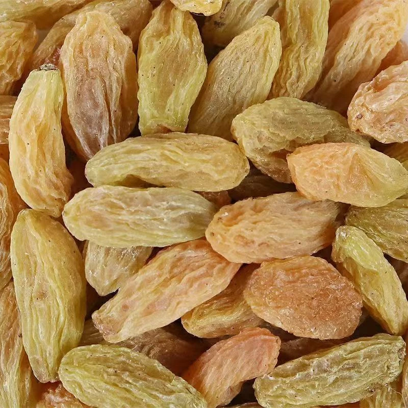 卖爆了新疆葡萄干新疆特产Q优质营养葡萄干大颗粒 饱满自然风晾晒