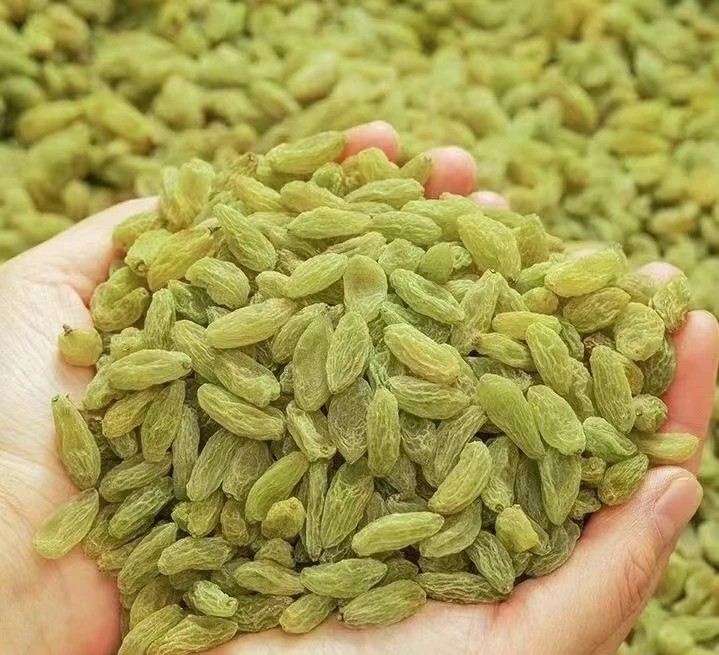 新疆葡萄干美味酸甜大颗粒独立包装黄新疆吐鲁番自然晾干即食零食