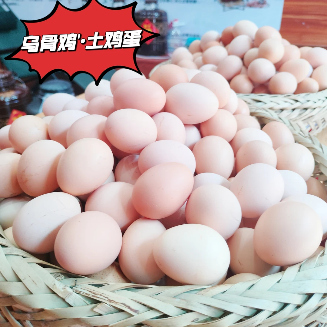 高品质乌鸡蛋土鸡蛋无菌新鲜农家散养批发普通鸡蛋农家散养土鸡蛋