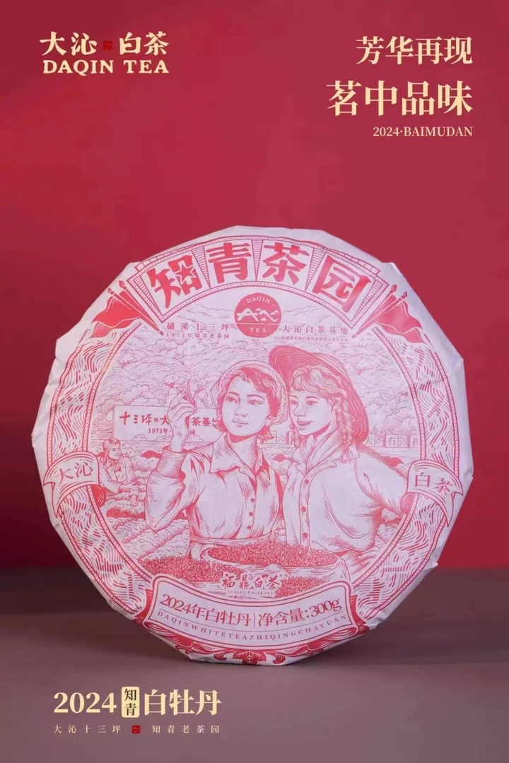 大沁福鼎白茶知青茶园2024年知青白牡丹